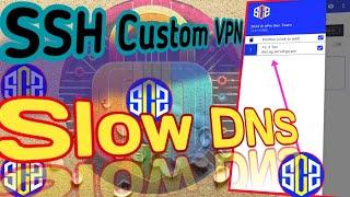 How to Set Up SSH Custom VPN with Slow DNS Settings | Step-by-Step Guide