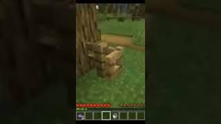 Minecraft what meme part 80