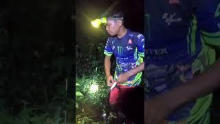 nombak ikan di dalam sayurr #channelkami #bolangmalam