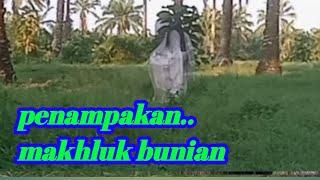 ASLI PENAMPAKAN MAKHLUK BUNIAN BIKIN MERINDING/makhluk bunian makhluk astralr