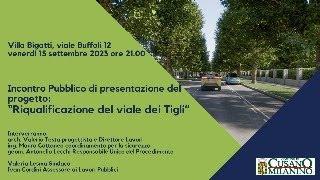 Incontro Pubblico di presentazione del progetto: "Riqualificazione del viale dei Tigli"