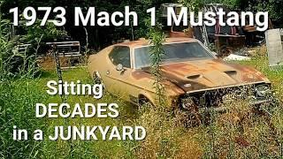 Will it run? A 73 Mustang Mach 1 fastback waiting in a junkyard for decades!