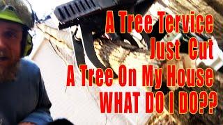 A Tree Service Knocked a Tree onto My Home! Now What Do I Do? A Remedial Tree Removal in Acworth GA