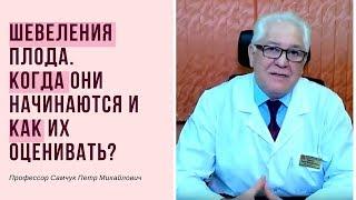 Когда на самом деле начинаются шевеления плода?