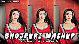 Bhojpuri mashup  lofi songs / Trending mashup bhojpuri songs / Slowed reverb lofi songs /