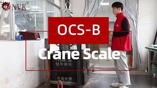 Hanging Crane Scale! 1TON Crane Scale 3000kg crane scale 5000KG Hanging scale