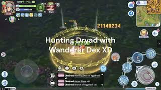 Hunting dryad lifehacks with Wanderer Dex | Ragnarok X: Next Generation - Wing of Blessing