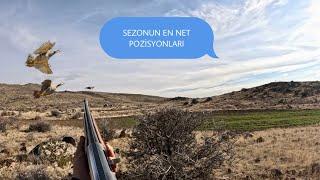 BOL HARILTI SESİ KEKLİK BANA ÇARBACAKTI/ (KEKLİK AVI)SEZONUN NET VURUŞU PARTRY HUNT/ВЕЧЕРИННАЯ ОХОТА