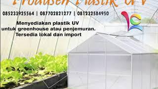 Plastik UV Untuk Greenhouse & Pengeringan (Penjemuran), Hub. 08123.258.4950