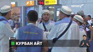 Курбан айт 2024: каких животных можно приносить в жертву