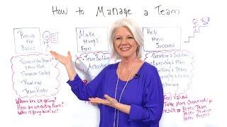 How to Manage a Team - Project Management Training