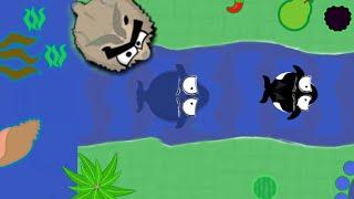 BIG GOAT TROLLS ALL SEA ANIMALS IN MOPE.IO