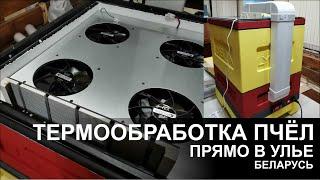 6. Умный Улей. Средство от клеща варроа. Термообработка пчел прямо в улье. Lyson Лысонь. Клещ варроа