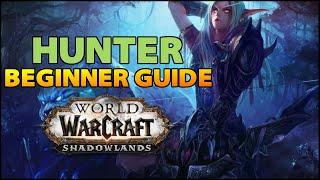 Hunter Beginner Guide | Overview & Builds for ALL Specs (WoW Shadowlands)