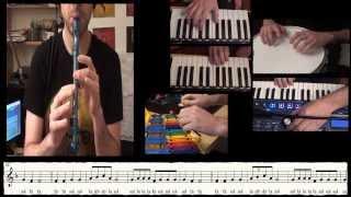 Somebody I used to Know - Recorder (flute) cover - Gotye - Carlos Rodríguez Parrón @carlosrpmusica