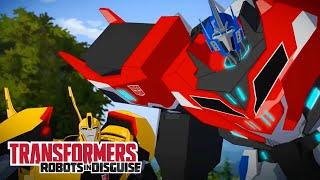 Optimus Prime & Bumblebee | Transformers: Robots in Disguise | FULL Episode | Transformers Official