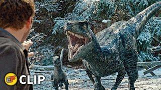 Beta Captured Scene | Jurassic World Dominion (2022) Movie Clip HD 4K