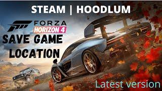 FH4 Hoodlum | Steam Save game location