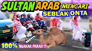 JOGET TIK TOK - ARAB Gokil MENCARI SEBLAK ONTA DI LAMPU MERAH.. NGAKAK NGAKAK ABIS | PRANK LUCU