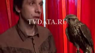 Illegal animal trade Stock Footage; exotic pets Sale in Russian street market