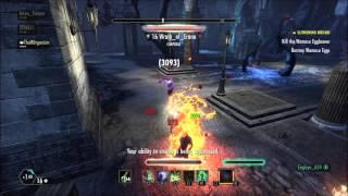 Immolator Charr: Best Duo partner in ESO