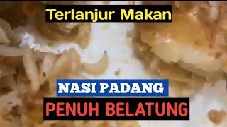 Viral!!! Warga Temukan Belatung Pada Makanan Milik RM. Padang "Boy Putra Bungsu" Kota Kupang