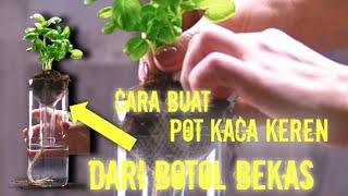 cara kreativ buat pot dari botol kaca || langsung di tanami bunga || penghias meja tamu