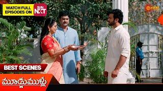 Moodu Mullu - Best Scenes | 01 Mar 2025  | Gemini TV | Telugu Serial