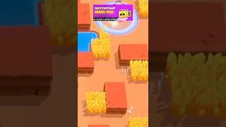 #сквик #brawlstars #реки #залетипж #имба #сильнейший #реки #залетипж