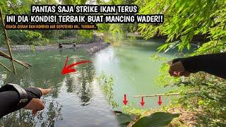 KONDISI TERBAIK MANCING PUTIHAN DI SUNGAI!! Mancing wader teknik kumbul spot anak sungai Bogowonto