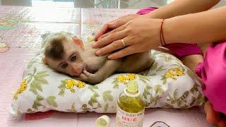 Monkey Puka is well taken care of by his Mother, helping him reduce his fatigue