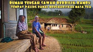 WAH ADEM AYEM.. TINGGAL BERDUA DI RUMAH TENGAH SAWAH | MANGPEP VLOG