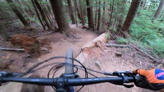 Tiger Mountain MTB // East Bound and Down