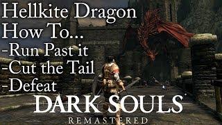 Dark Souls:Remastered | How To Run Past, Cut the Tail & Defeat Hellkite Dragon