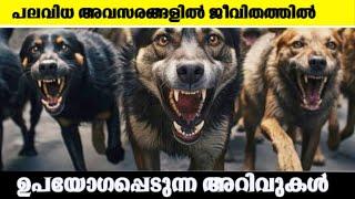 life saving Facts l Facts Malayalam l info corner Malayalam