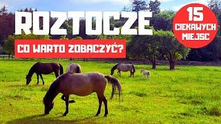 Roztocze - 15 ciekawych miejsc! Pomysły na weekend