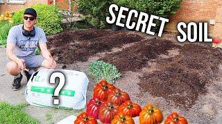 Simple Secret Soil Fix to Grow Juicy and Productive Vegetables