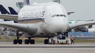 Ein Riesenflieger im Fokus: Singapore Airlines A380 beim Pushback & Abflug | Frankfurt Airport