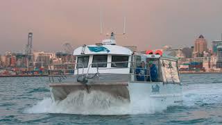 Seahawk Charters New Look