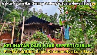 NEKAD‼️PASANGAN SUAMI ISTRI INI MEMILIH TINGGAL DI RUMAH TENGAH HUTAN.. SERING MENDENGAR SUARA ANEH