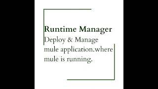 Runtime Manager