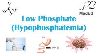 Low Phosphate (Hypophosphatemia): Causes, Symptoms, Treatment | & Role of Phosphate, Dietary Sources