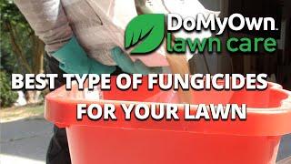 What type of fungicide should I use? | DoMyOwn.com