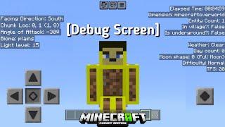 How to add *Debug Screen* in Minecraft PE | Debug Screen pack for MCPE