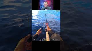 Мерланг троф на норвежском море  #русскаярыбалка4  #fishing  #норвегия  #рр4