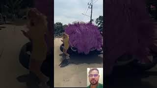 Look at the car #shorts #tiktok #shortsviral #ytshorts