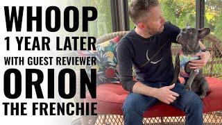 WHOOP Review 1 Year Later w/ Orion the Frenchie