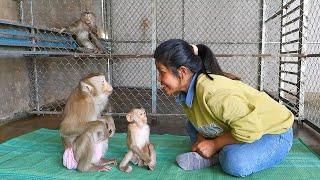 Obedient Kako Family Happy Plays After Enjoy Delicious Food