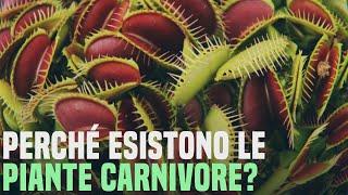 Piante Carnivore - Perché esistono? [SilverBrain]