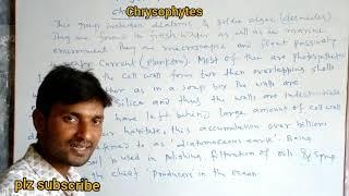 Chrysophytes  ,  ncert biology  11th.